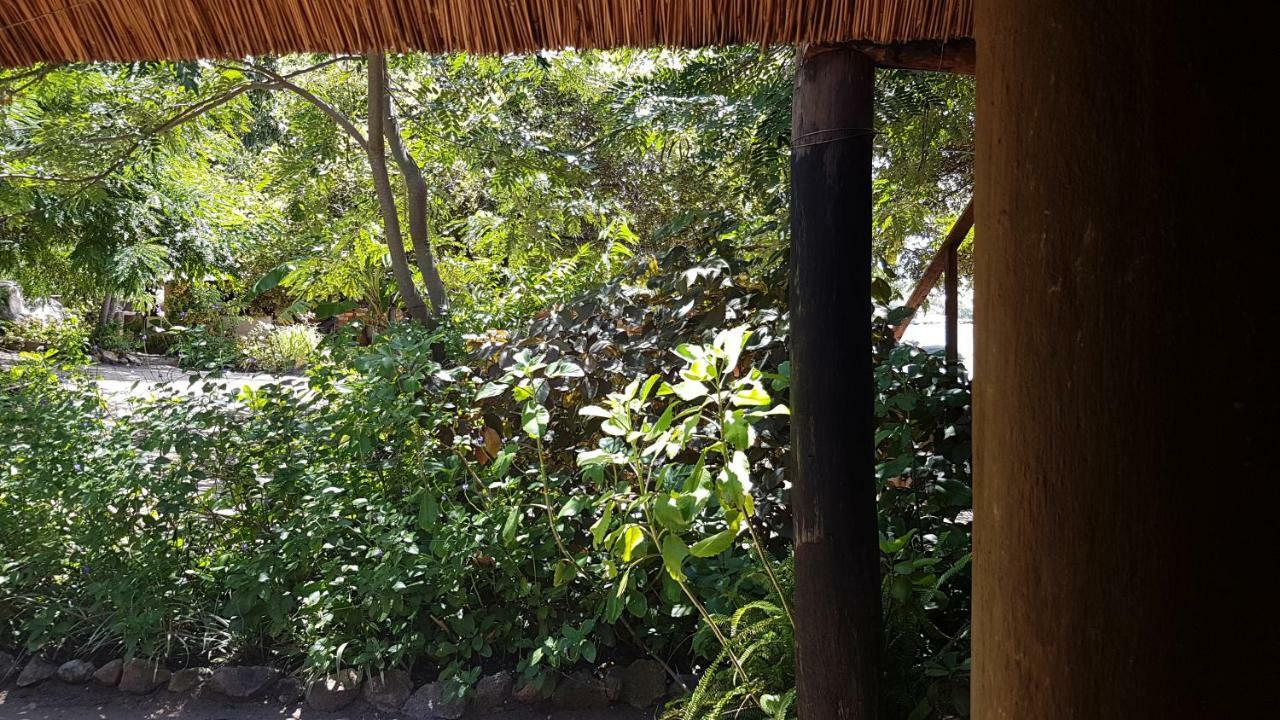 Mufasa Eco Lodge Monkey Bay 외부 사진